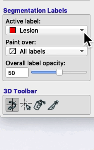 animated gif of segmentation label tool panel on lower left of itksnap display