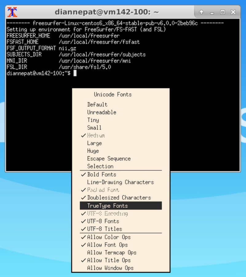 an example of how to access a gui for improving the terminal window fonts in the an Atmosphere virtual machine with a graphical desktop