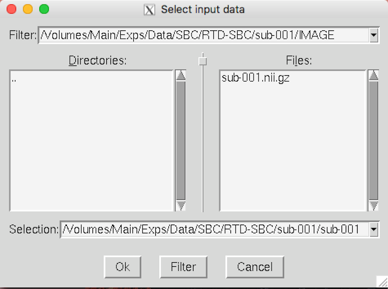 selecting the sub-001 nifti file to use as input
