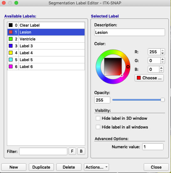 itksnap label editor interface for naming and assigning colors to labels