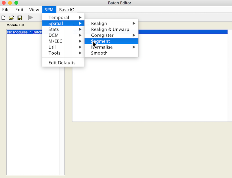 SPM12 Batch editor: From menu, select SPM->Spatial->Segment.