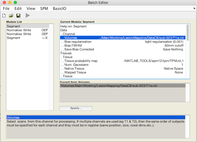 SPM12 Batch editor: Segment Batch menu choices