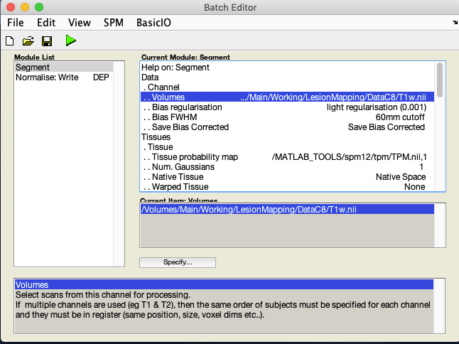 SPM12 Batch editor: Set up values for segmentation