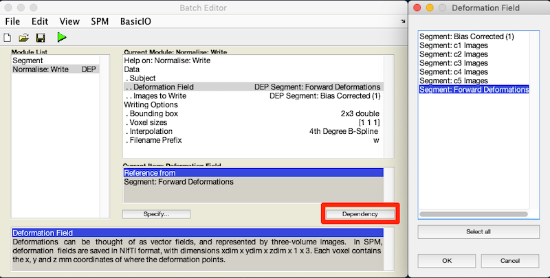 SPM12 Batch editor: Set up values for normalisation. Use Dependency button (red rectangle, lower right)
